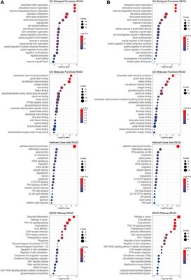 Glycogenes in Oncofetal Chondroitin Sulfate Biosynthesis are Differently Expressed and Correlated With Immune Response in Placenta and Colorectal Cancer